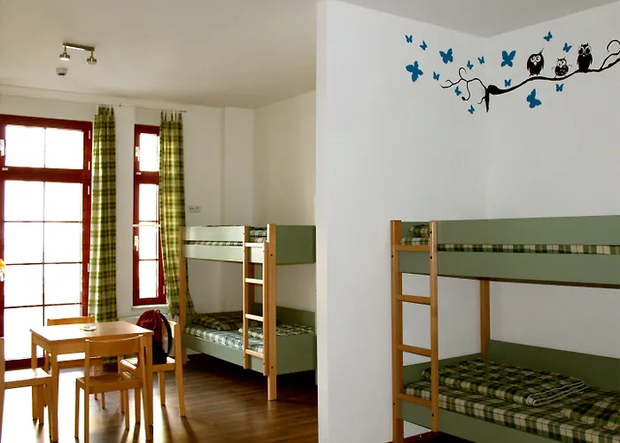 Auberge de jeunesse Wombat's